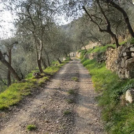 Borgata Castello アパート *