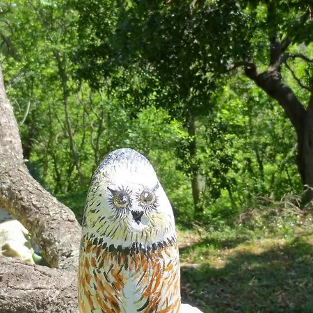 Borgata Castello Apartamento Chiusanico