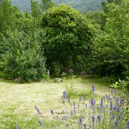 Borgata Castello Chiusanico