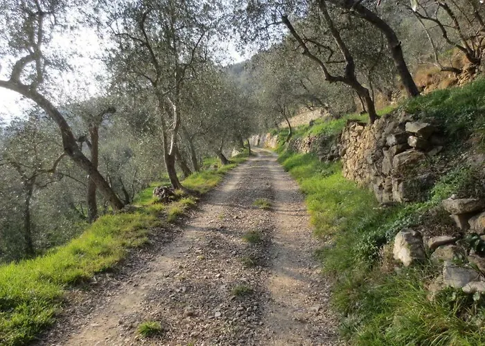 Borgata Castello Lejlighed *